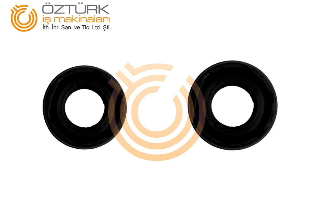 Joistik Keçesi-2