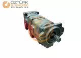 Steering And Switch Pump-1